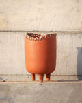 Clay Pod - Terra Classic Terracotta Vase